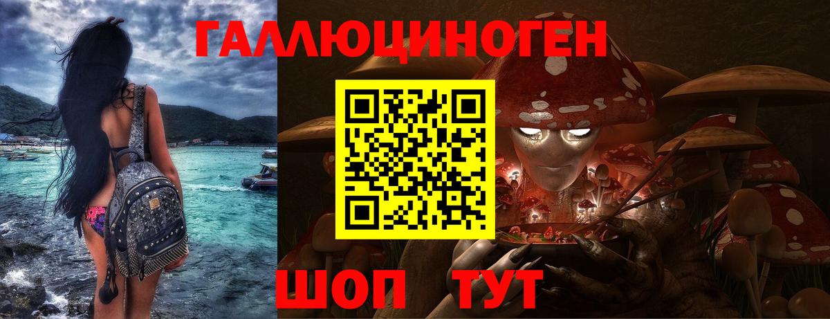 Сунжа  Псилоцибиновые грибы ЛСД  Вход с VPN  Псилоцибиновые грибы Cubensis 